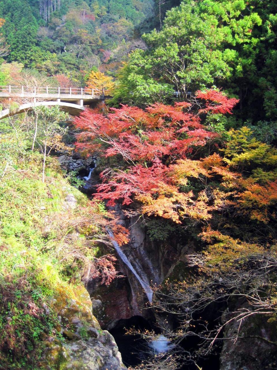 仁淀川町観光センター 秋葉の宿 Niyodogawa エクステリア 写真